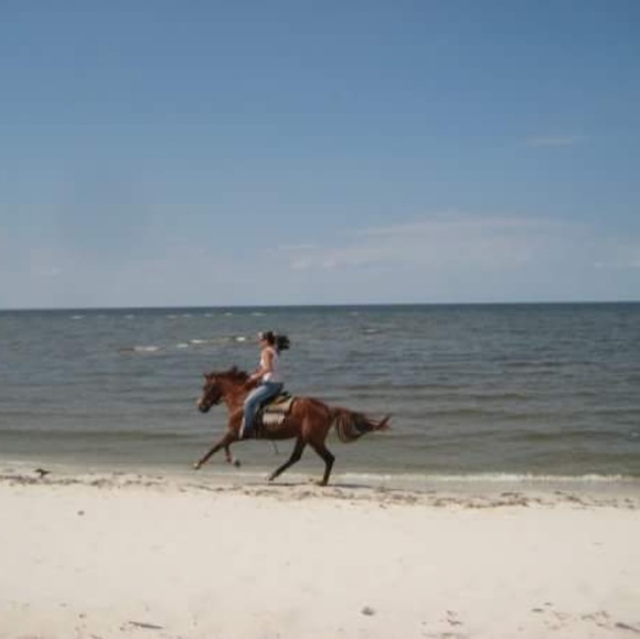 Meet your Posher, Chelsea - Picture 3 of 4